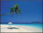 Specializes In  Timeshare